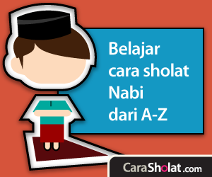 carasholat.com